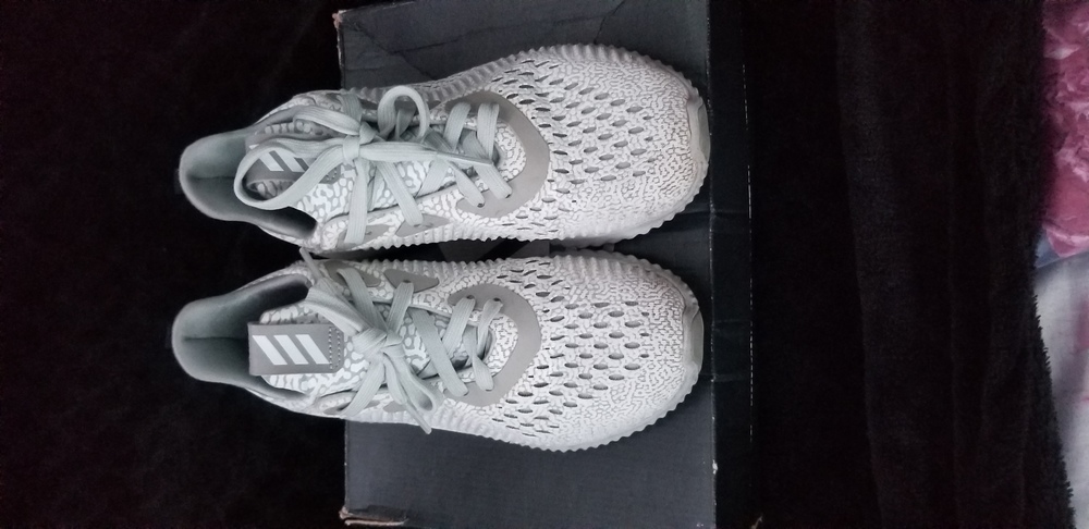 Adidas Alphabounce